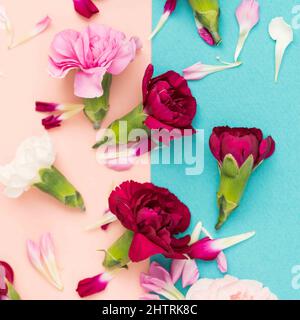 Garofani rossi e rosa con blocco di colore rosa e blu Foto Stock