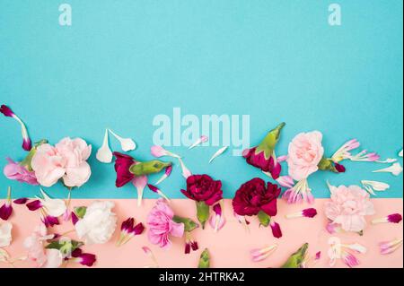 Fiori sparsi e petali su colore blocco floreale piatto Foto Stock