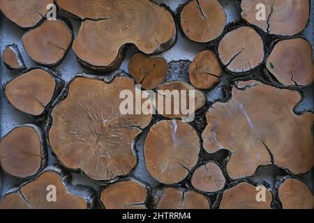 Frammento della decorazione della parete stradale delle sezioni trasversali del tronco dell'albero delle sezioni come background.Recycling e concetto di riutilizzo Foto Stock