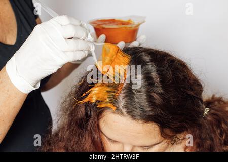 Primo piano di mani donna in guanti bianchi con pennello colorazione donna capelli grigi radici su sfondo bianco. Colorazione dei capelli a casa. Sbarazzarsi dei capelli grigi Foto Stock