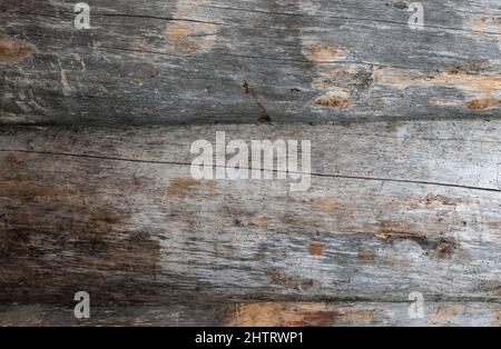 Parete rustica in legno naturale con intemperie, realizzata con struttura in legno a tronco di albero orizzontale. Foto Stock