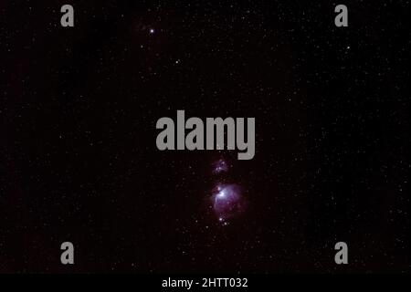 Inverno notte cielo con viola Orion nebulosa molte stelle visibili Foto Stock