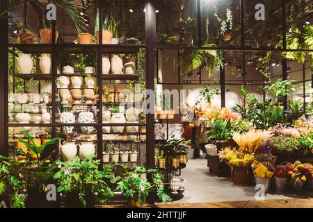 Vista di un assortimento di decor per il negozio di interni nel negozio del centro commerciale. Vista di scaffalature con vaso di fiori, piante di casa, fiori. Vista della casa Foto Stock