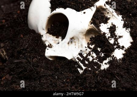 Cranio umano sepolto in suolo scavato. Concetto di Archeologia. Foto Stock