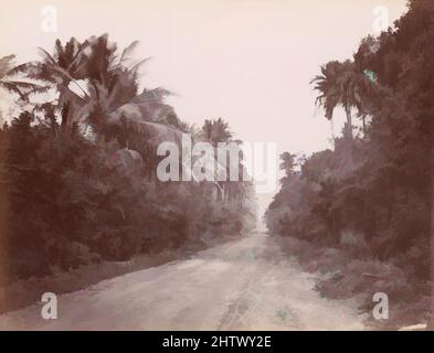 Art Inspired by Road Near Singapore, 1860s–70s, stampa in argento albume da vetro negativo, 20,2 x 26,3 cm (7 15/16 x 10 3/6 poll.), fotografie, Unknown, opere classiche modernizzate da Artotop con un tuffo di modernità. Forme, colore e valore, impatto visivo accattivante sulle emozioni artistiche attraverso la libertà delle opere d'arte in modo contemporaneo. Un messaggio senza tempo che persegue una nuova direzione selvaggiamente creativa. Artisti che si rivolgono al supporto digitale e creano l'NFT Artotop Foto Stock