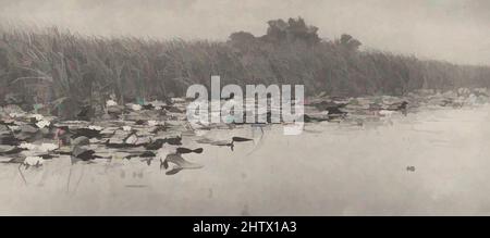 Art Inspired by Water-Lilies, 1886, Platinum print from glass negative, Image: 12,3 x 28 cm (4 13/16 x 11 in.), Photographs, Peter Henry Emerson (British, Born Cuba, 1856–1936, Classic works modernizzato da Artotop con un tuffo di modernità. Forme, colore e valore, impatto visivo accattivante sulle emozioni artistiche attraverso la libertà delle opere d'arte in modo contemporaneo. Un messaggio senza tempo che persegue una nuova direzione selvaggiamente creativa. Artisti che si rivolgono al supporto digitale e creano l'NFT Artotop Foto Stock