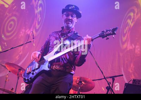 Southampton, Regno Unito. 02nd Mar 2022. Dave Sturt, produttore discografico inglese e attuale bassista con il gruppo Franco-britannico 1970s Progressive Rock Gong che si esibisce dal vivo sul palco al 1865. Credit: SOPA Images Limited/Alamy Live News Foto Stock