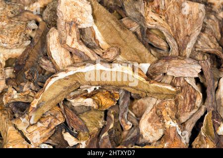 Boleti essiccati (Boletus edulis) Foto Stock