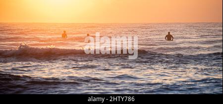 'Dawn Patrol' surfisti all'alba in attesa di onde a Jacksonville Beach nel nord-est della Florida. (USA) Foto Stock