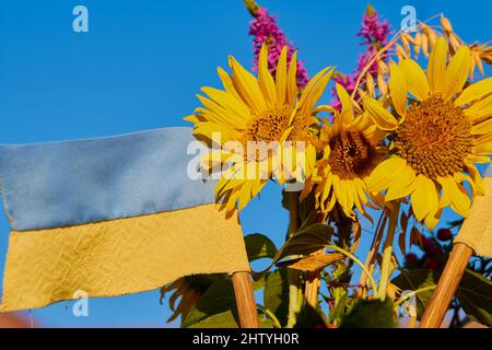 Bandiera blu e gialla con un bouquet di fiori nel cielo blu, Vittoria di Ucraina Foto Stock