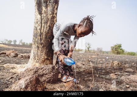 Piccola ragazza nera del villaggio africano innaffiare con cura una giovane piantina con acqua da una bottiglia di plastica; concetto di scarsità d'acqua Foto Stock
