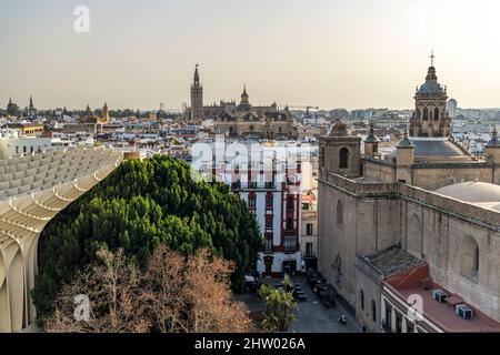 Blick vom Metropol Parasol auf die Kathedrale und die Kirche Iglesia de la Anunciación, Sevilla, Andalusia, Spanien | Metropol Parasol vista sul Foto Stock