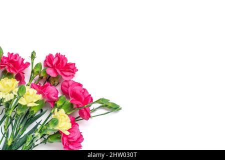 Bouquet di fiori di garofano rosa isolato su sfondo bianco Vista dall'alto Flat Lay Holiday card 8 marzo, buon giorno di San Valentino, Madre, Memoriale, Teach Foto Stock