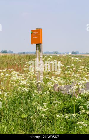 Leek, The Netehralnds - 4 giugno 2021: No ingresso segno allevamento e zona di riposo nella riserva naturale De Onlanden con laghetto e fiori selvatici in fiore vicino Groningen città Paesi Bassi Foto Stock