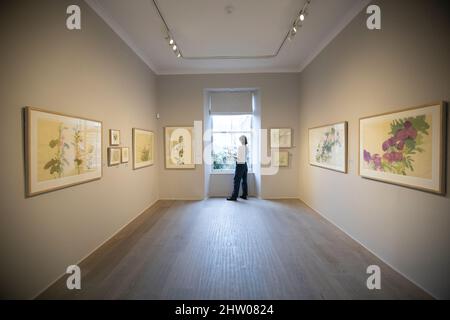 Edimburgo, Regno Unito. 3rd Mar 2022. La mostra Garden New nella Scottish Gallery, Edimburgo in Dundas Street. Nella foto: Claire Harkess artista Pic Credit: Pako Mera/Alamy Live News Foto Stock