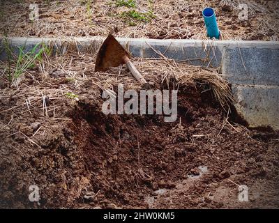 Un mucchio di composto organico in giardino all'aperto. Foto Stock