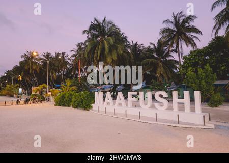 Lettere di pietra bianca per la designazione dell'isola di Maafushi con le palme di Nizza durante il tempo del tramonto, Maldive Foto Stock
