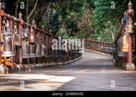 Passerella con le campane di bronzo metallico intorno e accanto ad esso nell'ambiente della giungla, al tempio di Wat Phra That Doi Tung, provincia di Chiang Rai, a nord di Foto Stock