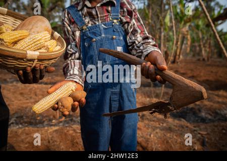 Primo piano delle mani di due agricoltori che detengono un cesto con il raccolto, patate, una zucca, mais e una zappa, concentrarsi sulla zappa Foto Stock