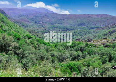 Valle di Inverneiras, Castro Laboreiro villaggio, Peneda Geres Parco Nazionale, Minho, Portogallo Foto Stock