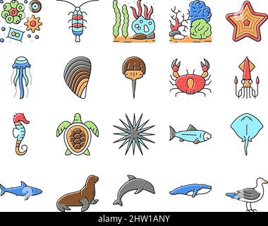 Ocean Underwater Life Collection icone Set Vector . Illustrazione Vettoriale