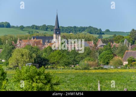 Francia, Cher, Charenton du Cher, Berry Foto Stock