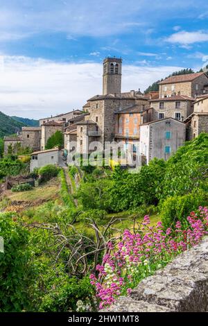 Francia, Ardeche, Monts d'Ardeche Parco Naturale Regionale, Antraigues sur Volane Foto Stock