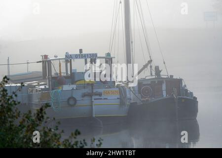 Francia, Maine-et-Loire (49), barche tradizionali, chiatte e barche da pesca, nella nebbia, al molo di fronte a Montjean-sur-Loire, nel braccio principale della Loira (classificato patrimonio mondiale dell'UNESCO) Foto Stock