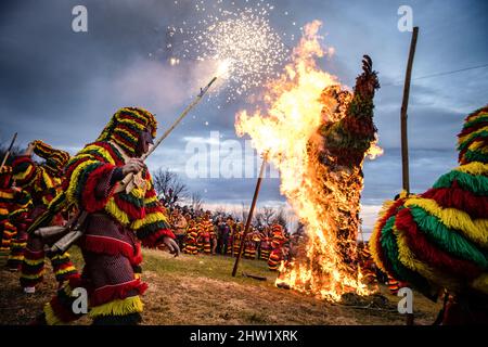 Caretos esegue rituali religiosi durante l'incendio di Entrudo (un carito gigante) durante la celebrazione del Carnevale di Podenza. Nel villaggio portoghese di Podence, nel comune di Macedo de Cavaleiros, durante il carnevale, gli uomini indossano il costume tradizionale, noto come 'Caretos', indossano maschere in ottone o legno e indossano colorati costumi di lana. Urlano e inseguono le persone per strada per spaventarle, specialmente le donne single. Caretos de Podence è stato dichiarato patrimonio culturale immateriale dell'umanità dall'UNESCO il 2019 dicembre. L'evento si conclude con l'incendio di Entrendo (un carato gigante). (P Foto Stock