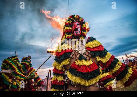 Caretos esegue rituali religiosi durante l'incendio di Entrudo (un carito gigante) durante la celebrazione del Carnevale di Podenza. Nel villaggio portoghese di Podence, nel comune di Macedo de Cavaleiros, durante il carnevale, gli uomini indossano il costume tradizionale, noto come 'Caretos', indossano maschere in ottone o legno e indossano colorati costumi di lana. Urlano e inseguono le persone per strada per spaventarle, specialmente le donne single. Caretos de Podence è stato dichiarato patrimonio culturale immateriale dell'umanità dall'UNESCO il 2019 dicembre. L'evento si conclude con l'incendio di Entrendo (un carato gigante). Foto Stock