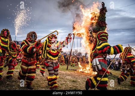 Caretos esegue rituali religiosi durante l'incendio di Entrudo (un carito gigante) durante la celebrazione del Carnevale di Podenza. Nel villaggio portoghese di Podence, nel comune di Macedo de Cavaleiros, durante il carnevale, gli uomini indossano il costume tradizionale, noto come 'Caretos', indossano maschere in ottone o legno e indossano colorati costumi di lana. Urlano e inseguono le persone per strada per spaventarle, specialmente le donne single. Caretos de Podence è stato dichiarato patrimonio culturale immateriale dell'umanità dall'UNESCO il 2019 dicembre. L'evento si conclude con l'incendio di Entrendo (un carato gigante). (P Foto Stock