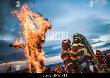 Caretos esegue rituali religiosi durante l'incendio di Entrudo (un carito gigante) durante la celebrazione del Carnevale di Podenza. Nel villaggio portoghese di Podence, nel comune di Macedo de Cavaleiros, durante il carnevale, gli uomini indossano il costume tradizionale, noto come 'Caretos', indossano maschere in ottone o legno e indossano colorati costumi di lana. Urlano e inseguono le persone per strada per spaventarle, specialmente le donne single. Caretos de Podence è stato dichiarato patrimonio culturale immateriale dell'umanità dall'UNESCO il 2019 dicembre. L'evento si conclude con l'incendio di Entrendo (un carato gigante). (P Foto Stock