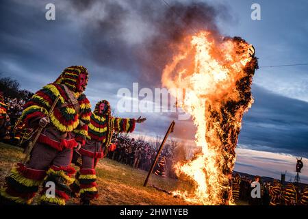 Caretos esegue rituali religiosi durante l'incendio di Entrudo (un carito gigante) durante la celebrazione del Carnevale di Podenza. Nel villaggio portoghese di Podence, nel comune di Macedo de Cavaleiros, durante il carnevale, gli uomini indossano il costume tradizionale, noto come 'Caretos', indossano maschere in ottone o legno e indossano colorati costumi di lana. Urlano e inseguono le persone per strada per spaventarle, specialmente le donne single. Caretos de Podence è stato dichiarato patrimonio culturale immateriale dell'umanità dall'UNESCO il 2019 dicembre. L'evento si conclude con l'incendio di Entrendo (un carato gigante). (P Foto Stock