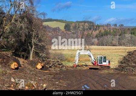 TAGLIO E SGOMBERO DI ALBERI CADUTI CON SEGA MECCANICA TAKEUCHI E BULLDOZER CINGOLATO O ESCAVATORE Foto Stock