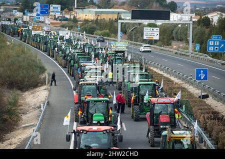 Malaga, Spagna. 03rd Mar 2022. Gli agricoltori che guidano i trattori sono visti in coda quando prendono parte a una protesta di agricoltori e allevatori. Centinaia di lavoratori con trattori hanno mobilitato un raduno che richiede misure decenti ed economiche per il settore agricolo, a causa dei crescenti costi di produzione. La crisi del settore rurale interesserebbe la regione andalusa per la sua importanza come settore strategico ed economico. Credit: SOPA Images Limited/Alamy Live News Foto Stock