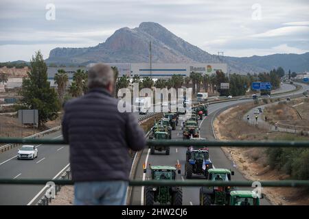 Malaga, Spagna. 03rd Mar 2022. Un uomo è visto osservare i trattori mentre prendono parte ad una protesta degli agricoltori e dei rancher. Centinaia di lavoratori con trattori hanno mobilitato un raduno che richiede misure decenti ed economiche per il settore agricolo, a causa dei crescenti costi di produzione. La crisi del settore rurale interesserebbe la regione andalusa per la sua importanza come settore strategico ed economico. Credit: SOPA Images Limited/Alamy Live News Foto Stock