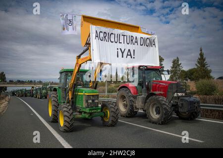 Malaga, Spagna. 03rd Mar 2022. Gli agricoltori che guidano i trattori in coda quando prendono parte a una protesta di agricoltori e allevatori.centinaia di lavoratori con trattori hanno mobilitato un rally che richiede misure decenti ed economiche per il settore agricolo, a causa dei crescenti costi di produzione. La crisi del settore rurale interesserebbe la regione andalusa per la sua importanza come settore strategico ed economico. Credit: SOPA Images Limited/Alamy Live News Foto Stock