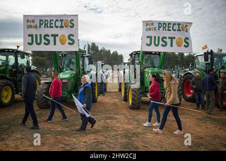 Malaga, Spagna. 03rd Mar 2022. La gente è vista camminare oltre i trattori durante una protesta degli agricoltori e dei rancher. Centinaia di lavoratori con trattori hanno mobilitato un raduno che richiede misure decenti ed economiche per il settore agricolo, a causa dei crescenti costi di produzione. La crisi del settore rurale interesserebbe la regione andalusa per la sua importanza come settore strategico ed economico. Credit: SOPA Images Limited/Alamy Live News Foto Stock