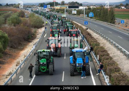 Malaga, Spagna. 03rd Mar 2022. Gli agricoltori che guidano i trattori sono visti in coda quando prendono parte a una protesta di agricoltori e allevatori. Centinaia di lavoratori con trattori hanno mobilitato un raduno che richiede misure decenti ed economiche per il settore agricolo, a causa dei crescenti costi di produzione. La crisi del settore rurale interesserebbe la regione andalusa per la sua importanza come settore strategico ed economico. (Foto di Jesus Merida/SOPA Images/Sipa USA) Credit: Sipa USA/Alamy Live News Foto Stock