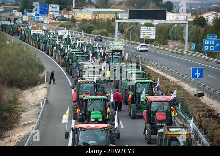 Malaga, Spagna. 03rd Mar 2022. Gli agricoltori che guidano i trattori sono visti in coda quando prendono parte a una protesta di agricoltori e allevatori. Centinaia di lavoratori con trattori hanno mobilitato un raduno che richiede misure decenti ed economiche per il settore agricolo, a causa dei crescenti costi di produzione. La crisi del settore rurale interesserebbe la regione andalusa per la sua importanza come settore strategico ed economico. (Foto di Jesus Merida/SOPA Images/Sipa USA) Credit: Sipa USA/Alamy Live News Foto Stock