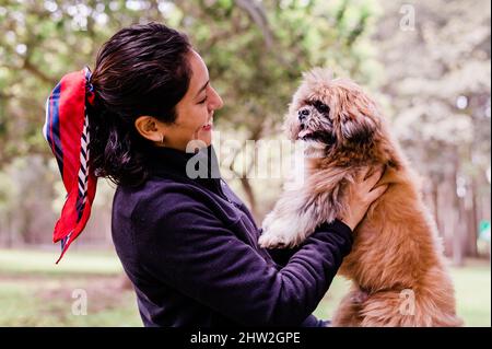 Adorabile cucciolo nelle braccia del suo amorevole proprietario. Piccolo adorabile doggy con divertente pelliccia di riccio con donna adulta Foto Stock