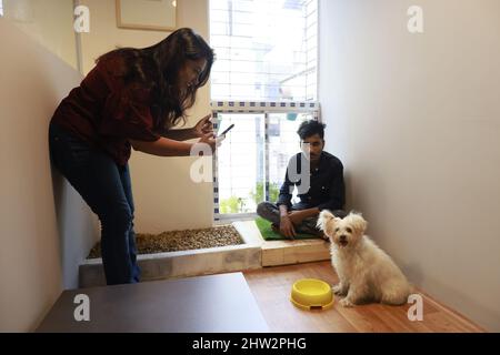 Dhaka, Bangladesh. 03rd Mar 2022. Furryghor, la prima casa di imbarco per animali da compagnia in Bangladesh, dove una persona può tenere i loro gatti e cani temporaneamente con sicurezza e mantenimento dell'igiene, ha iniziato il suo viaggio a Mirpur Zoo Road a Dhaka, Bangladesh, 3 marzo 2022. I proprietari fondatori di Furryghor hanno detto che hanno sentito l'urgenza di istituire una casa d'imbarco per animali da compagnia, in quanto non c'era un tale luogo in Bangladesh dove un proprietario di animali poteva tenere i loro animali per la cura del giorno o per il pernottamento. (Foto di Suvra Kanti Das/Sipa USA) Credit: Sipa USA/Alamy Live News Foto Stock