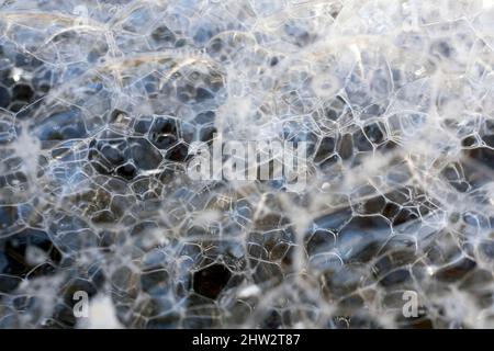 Una bolla di sapone, una pellicola estremamente sottile di acqua saponata che racchiude l'aria in primo piano Foto Stock