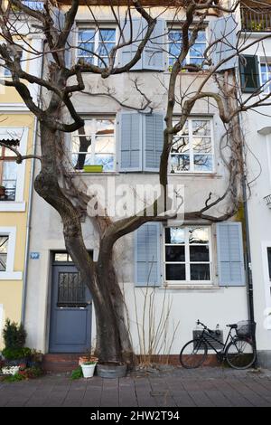 Facciate di vecchie case nel centro di Basilea, Svizzera Foto Stock