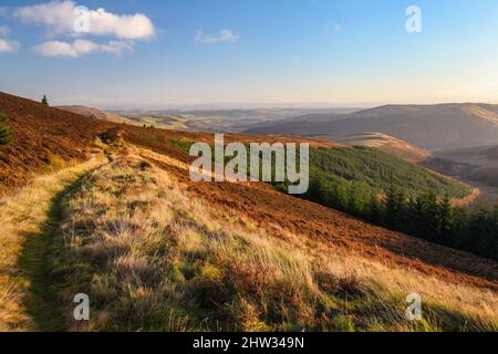 Una passeggiata attraverso le Uplands meridionali per vedere i tre fratelli Foto Stock