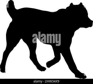 Esecuzione del cucciolo di cane pastore asiatico centrale. Silhouette nera per cani. Animali domestici. Isolato su sfondo bianco. Illustrazione vettoriale. Illustrazione Vettoriale