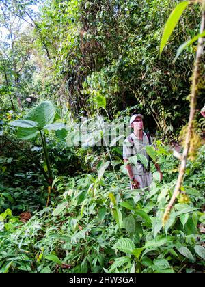 Uomo in Arenal Costa Rica giungla pioggia Foresta Foto Stock