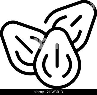 Vettore di contorno dell'icona della frutta a guscio vegetale. Latte di mandorle. Bevanda alimentare Illustrazione Vettoriale