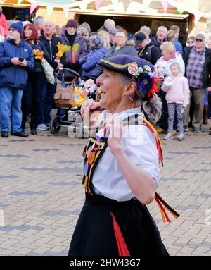 Musicisti e ballerini celebrano il festival annuale del rabarbaro di Wakefield. Foto Stock