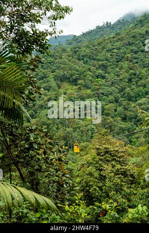 Vista ad angolo alto della riserva forestale Nambillo, vicino a San Carlos, Pinchincha, Ecuador in una giornata colta. Foto Stock